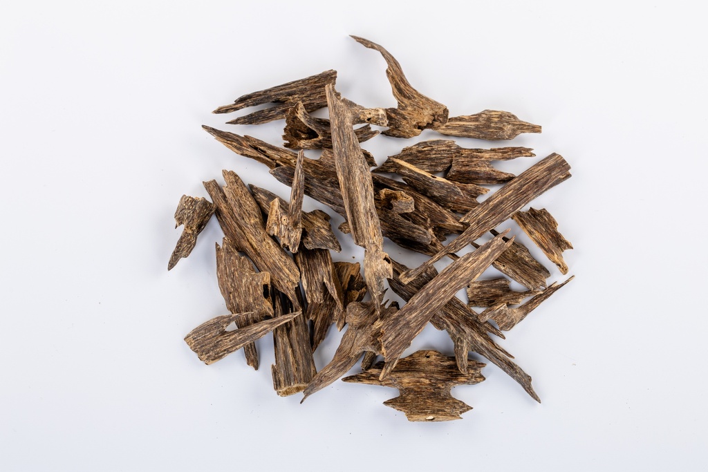 عود زورا سوبر